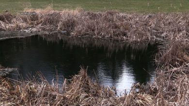 Zwłoki odkryte w Parku Śląskim. To zaginiony mieszkaniec Katowic?