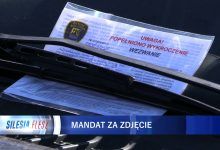 Strażnicy miejscy i policja dostają coraz więcej zdjęć, na których widać wykroczenia drogowe, najczęściej nielegalne parkowanie