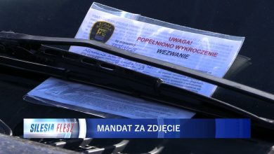 Strażnicy miejscy i policja dostają coraz więcej zdjęć, na których widać wykroczenia drogowe, najczęściej nielegalne parkowanie