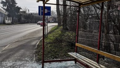 Bielsko-Biała: Policja poszukuje świadków uszkodzenia przystanku na ul. Wyzwolenia (fot. KMP Bielsko-Biała)