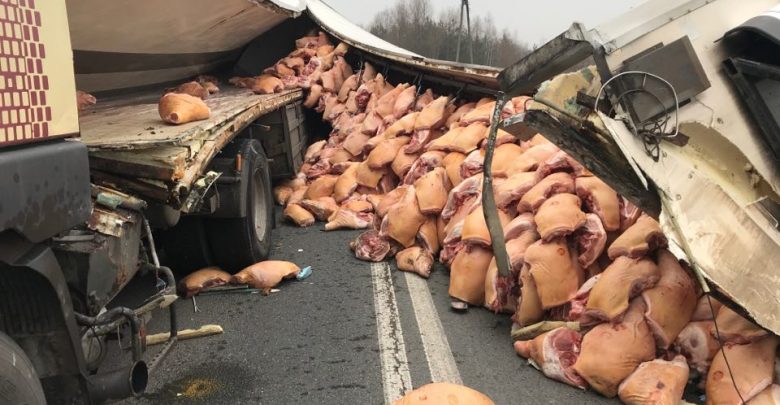 Ruda Śląska; Świnie wysypały się na drogę! Dojazd do autostrady A4 całkowicie zablokowany! (fot.Paweł Jędrusik)