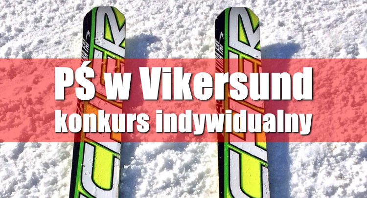 Puchar Świata Vikersund (fot. poglądowe pixabay)