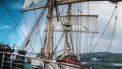 Rejs Niepodległości na finiszu. „Dar Młodzieży” w drodze do Gdyni