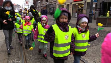 Centrum Katowic zakwitło dziesiątkami żonkili. Żółty Marsz Nadziei, przeszedł ulicą 3 Maja z katowickiego Rynku do Placu Wolności