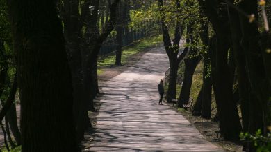 Mysłowice: Oczka wodne i romantyczny mostek. Wkrótce ruszy przebudowa Promenady!