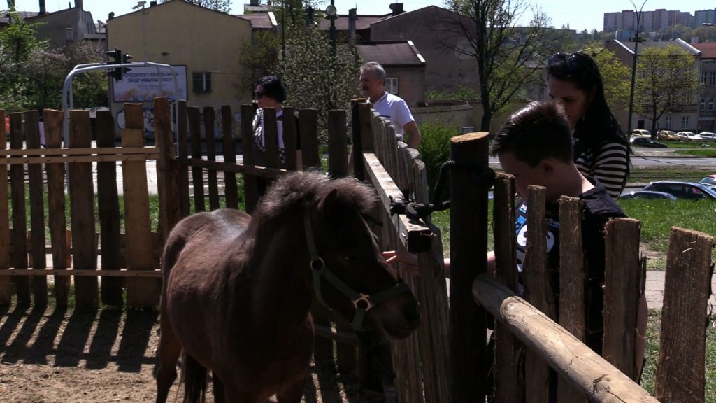 Mieszkańcy Zagłębia, którzy postanowili wybrać się na spacer, mogą zobaczyć zwierzęta w Zagajniku Wielkanocnym w pobliżu zamku w Będzinie