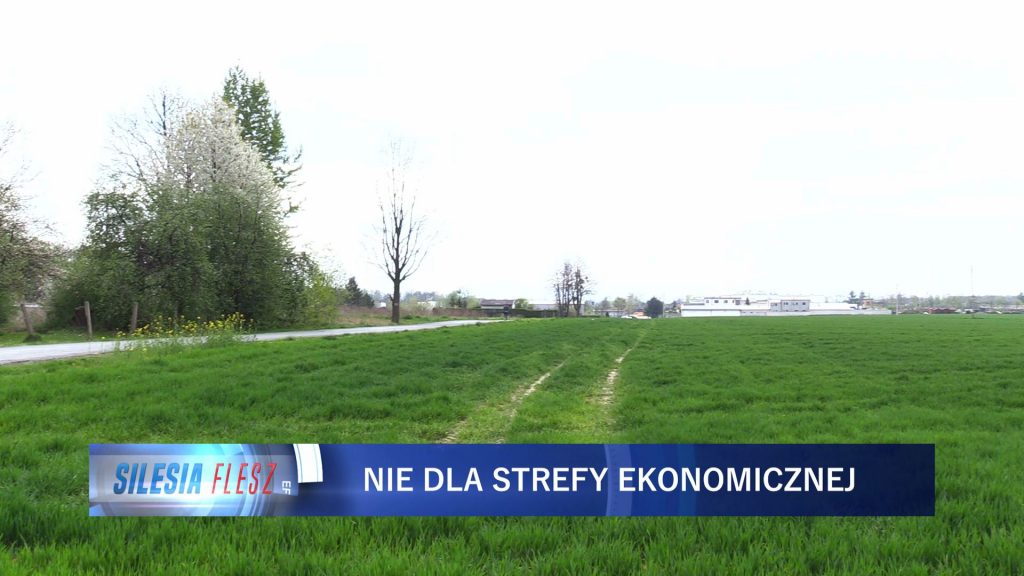 Część mieszkańców Pawłowic nie chce u siebie strefy ekonomicznej. Dziś protestowali w tej sprawie przez urzędem gminy