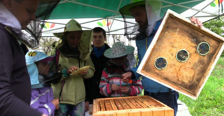 Przeglądu wiosennego uli dokonali pszczelarze z Pasieki Edukacyjnej "Skrzydlaci Przyjaciele" podczas warsztatów pszczelarskich w Śląskim Ogrodzie Botanicznym w Mikołowie