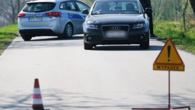 3-latek wpadł pod rozpędzone audi. Zginął na miejscu (fot.Policja Podkarpacka)