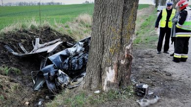 Uderzył w drzewo, samochód się spalił. Kierowca laguny zginął na miejscu (fot.Policja Pomorska)