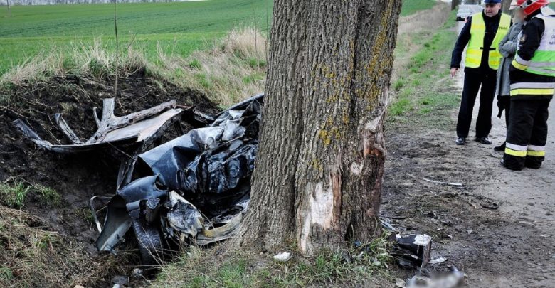 Uderzył w drzewo, samochód się spalił. Kierowca laguny zginął na miejscu (fot.Policja Pomorska)