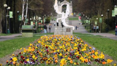 Prezes i wiceprezes Parku Śląskiego odwołani. Wcześniej zatrzymano jednego z pracowników!(fot.Park Śląski/facebook)