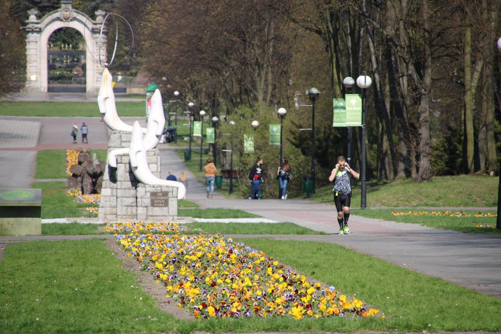 Ależ pięknie! W Parku Śląskim kwitnie 14 tysięcy kwiatów! (fot.Park Śląski/facebook)