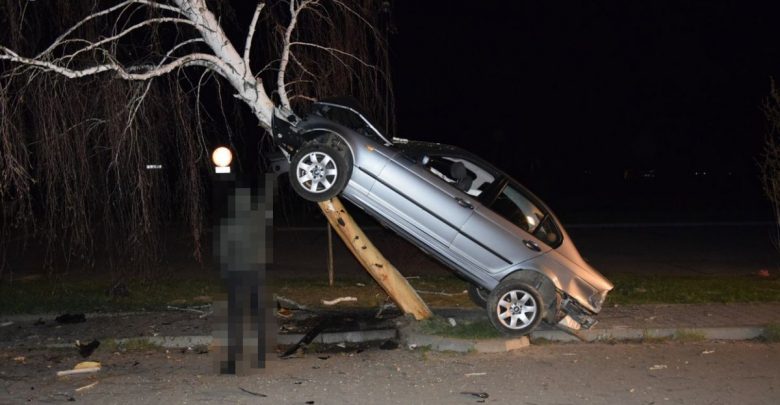 Zaparkował na brzozie [ZDJĘCIA] 21-letni kierowca BMW był pijany (fot. Policja Lubelska)