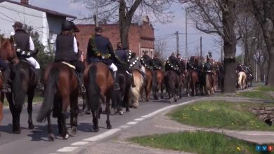 Konna procesja w Gliwicach-Ostropie. Modlili się o dobre plony [WIDEO]