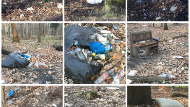 Katowice: Rusza głosowanie na najbardziej zaśmiecone tereny (fot.UM Katowice)