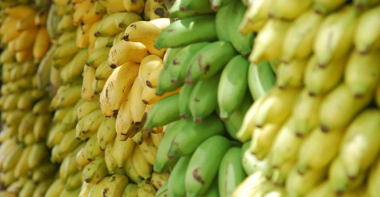 Wielki przemyt kokainy! Narkotyki w bananach z Ekwadoru(fot.poglądowe/www.pixabay.com)