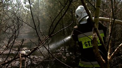 Sześć osób zginęło w pożarach podczas świąt. 51 zostało rannych