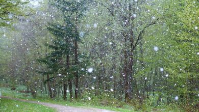 Przymrozki i opady śniegu - IMGW wydał OSTRZEŻENIE METEO