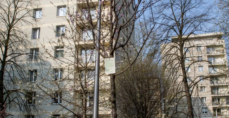 Katowice: Mieszkańcy znowu mogą zgłaszać miejsca na nowe drzewa (fot.UM Katowice)