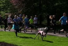 Parkrun obchodził w katowickim Parku Kościuszki swoje 3, urodziny. Rzecz jasna - biegowo!