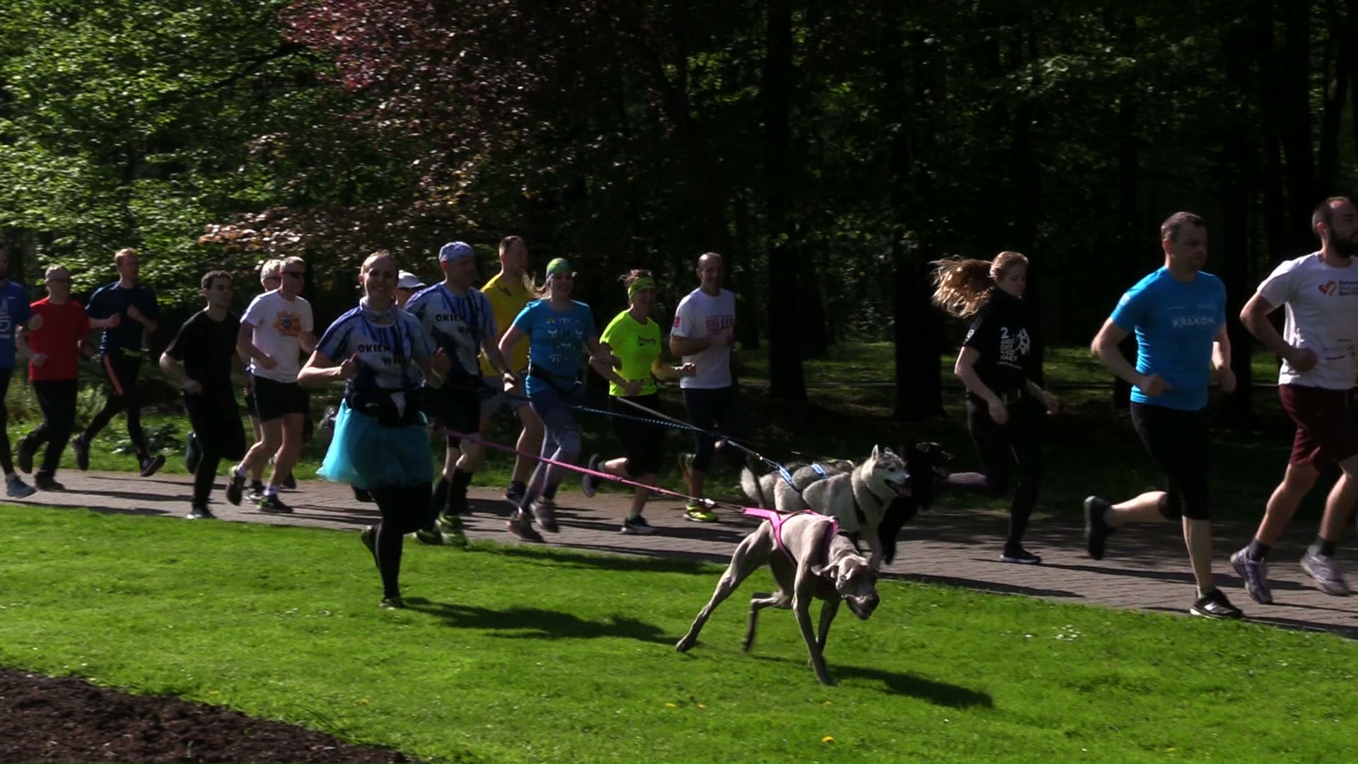 Parkrun obchodził w katowickim Parku Kościuszki swoje 3, urodziny. Rzecz jasna - biegowo!