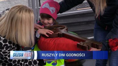 Dni Godności w Jaworznie [WIDEO] (fot.mat.TVS)