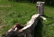 Katowice: Rzeźba matki z dzieckiem na Muchowcu zniszczona! To uczestnicy Juwenaliów?