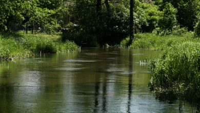 Są zarzuty dla 17-letniej matki noworodka znalezionego w rzece we wsi Grabiec w gminie Szczekociny