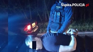 Gang złodziei luksusowych aut rozbity. Wszyscy członkowie grupy, to mieszkańcy Śląska (fot.Śląska Policja)