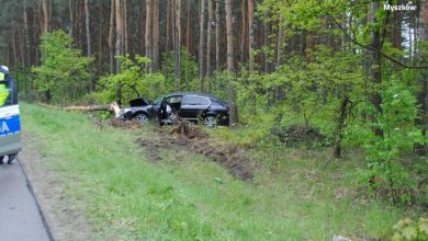 Śląskie: Podróż skodą superb zakończyli na drzewie. Nie chcieli przyznać się, kto prowadził, bo każdy z nich miał 3 promile (fot. Śląska Policja)