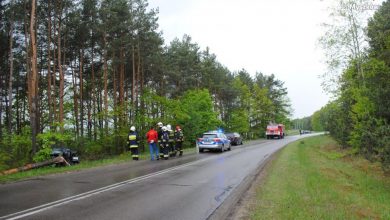 Groźny wypadek w Poraju! Samochód uderzył w drzewo, a kierowcy brak [ZDJĘCIA]