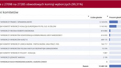 Państwowa Komisja Wyborcza podała wyniki głosowania do Parlamentu Europejskiego po zliczeniu głosów z 99,31 obwodowych komisji wyborczych (źródło: PKW)