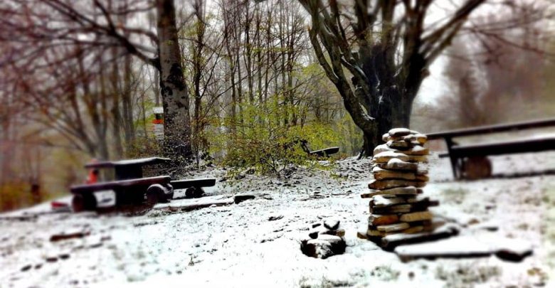 Śnieg na południu Polski [FOTO] W górach może spaść nawet 10 cm śniegu