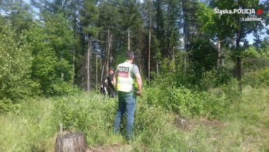 Śląskie: Smród niósł się po całej okolicy. Makabryczne odkrycie w Boronowie. 67-latek zatrzymany (fot.Śląska Policja)