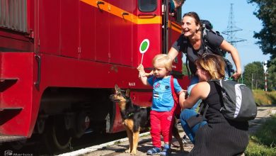 Śląskie: Wąskotorówka wyjedzie na tory 9 czerwca! [ROZKŁAD JAZDY]