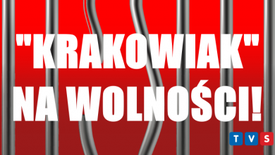 "Krakowiak" na wolności! Sąd wypuścił byłego szefa śląskiej mafii! FOT. @vectorpouch