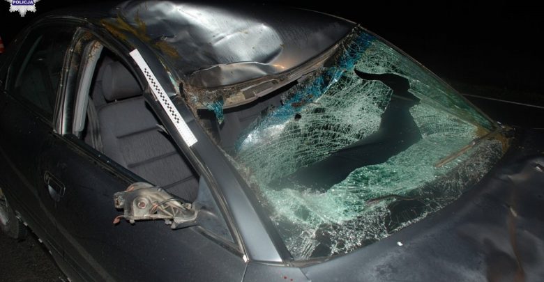 Tak wygląda samochód po zderzeniu z łosiem [FOTO] Uważajcie na siebie! (fot.Policj Lubelska)