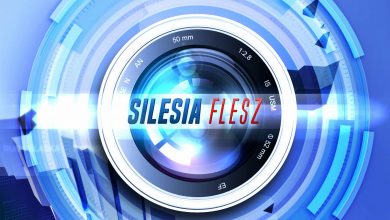 Silesia Flesz