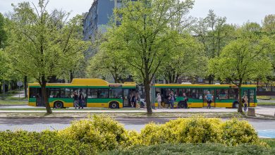 Łatwiejszy dojazd do kąpielisk i ośrodków rekreacyjnych miejską komunikacją publiczną. Wakacyjny rozkład jazdy ZTM (fot.ZTM)