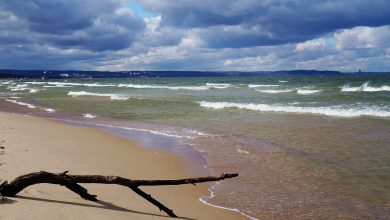 Lato nad Bałtykiem: Niektóre plaże w Polsce będą zamykane!