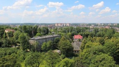 Chorzów: W mieście powstaną zielony dywan, ściana i podwórko (fot. mojchorzow.com.pl)