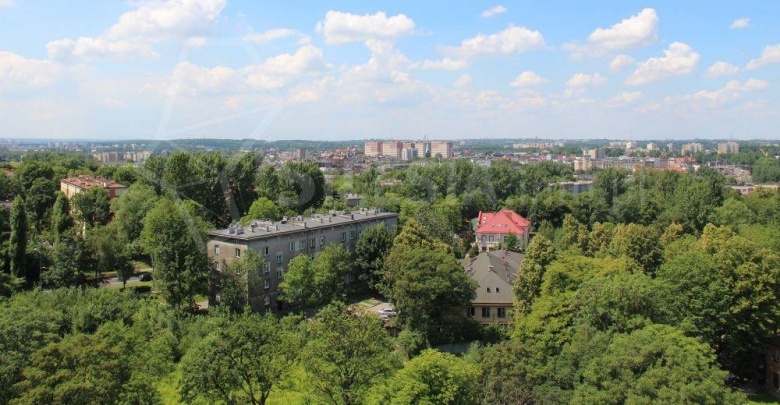 Chorzów: W mieście powstaną zielony dywan, ściana i podwórko (fot. mojchorzow.com.pl)