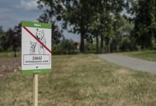 Tychy: Miasto oznaczyło parki. Pojawiła się, m.in. "łąka miododajna" i "łąka antysmogowa" (fot. Kamil Peszat)