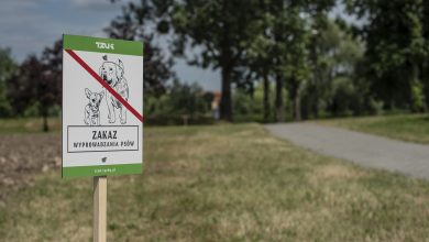 Tychy: Miasto oznaczyło parki. Pojawiła się, m.in. "łąka miododajna" i "łąka antysmogowa" (fot. Kamil Peszat)