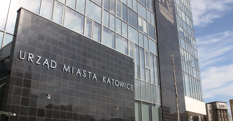 Nielegalna wycinka kasztanowców w Katowicach. Jest komunikat urzędu miasta