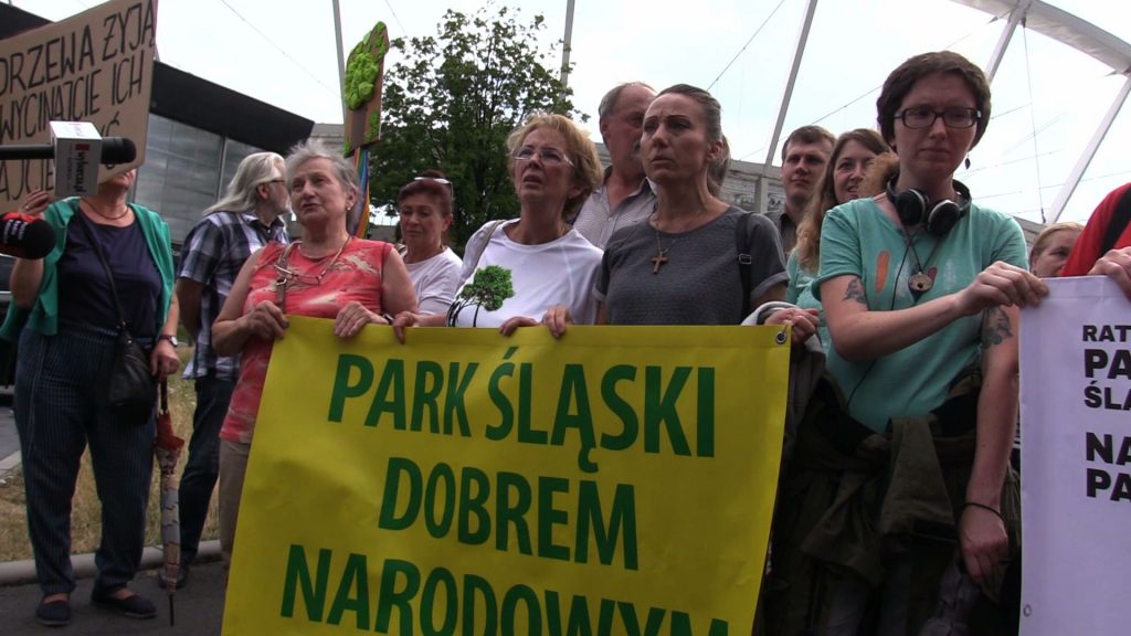 Nie chcą wycinki drzew. Milczący marsz w Parku Śląskim
