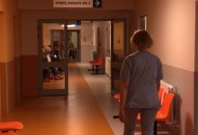 Gdzie szukać pomocy, jeśli ugryzie nas kleszcz? Lekarze apelują: Nie na SOR-ach!