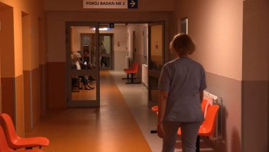 Gdzie szukać pomocy, jeśli ugryzie nas kleszcz? Lekarze apelują: Nie na SOR-ach!