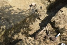 Szczątki żołnierzy odkryte podczas prac przy budowie obwodnicy [ZDJĘCIA] (fot.GDDKiA Rzeszów)